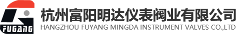 宁波飞扬信息技术支持有限公司
